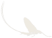 Mayfly Light Icon