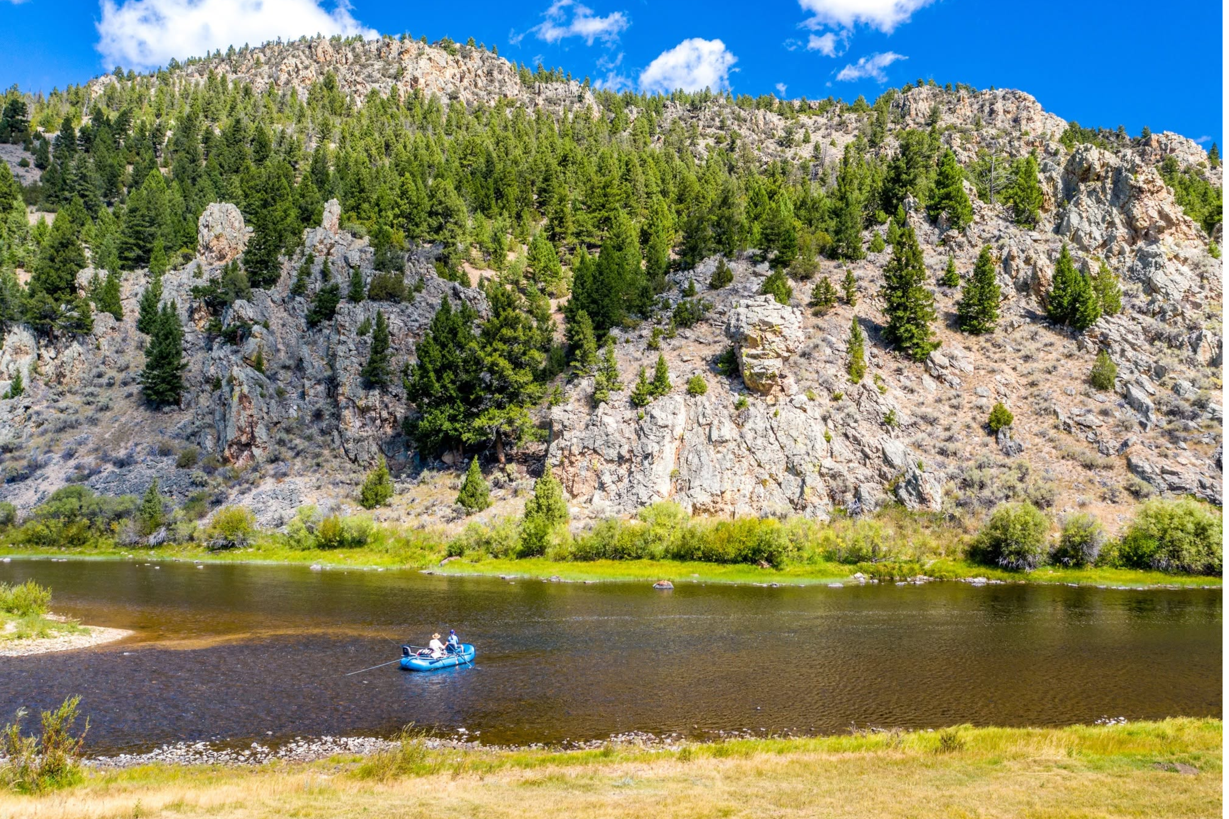 Complete Fly Fisher